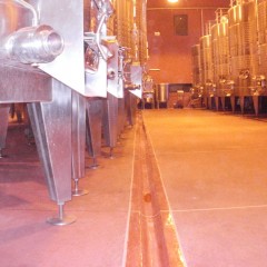Bodega Sotano