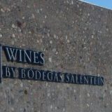 Bodega Salentein